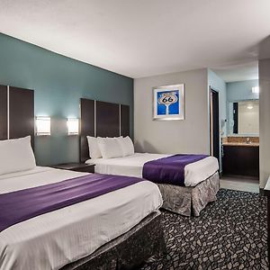 Chambre Accessible aux Personnes à Mobilité Réduite Lit Queen-Size